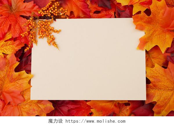 一张秋叶围绕的空白卡片
